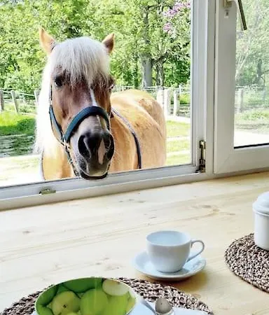 Cosy Family Reichenau an der Rax