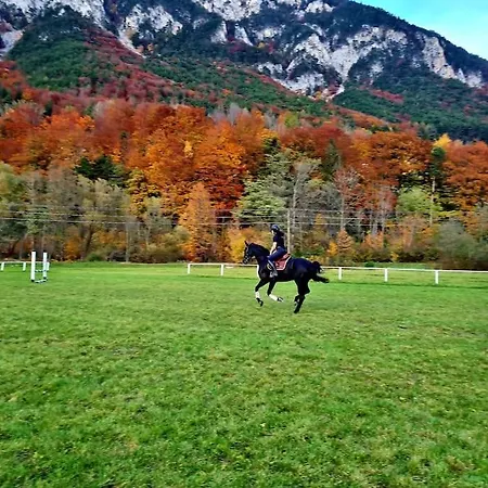 Apartamento Cosy Family Reichenau an der Rax