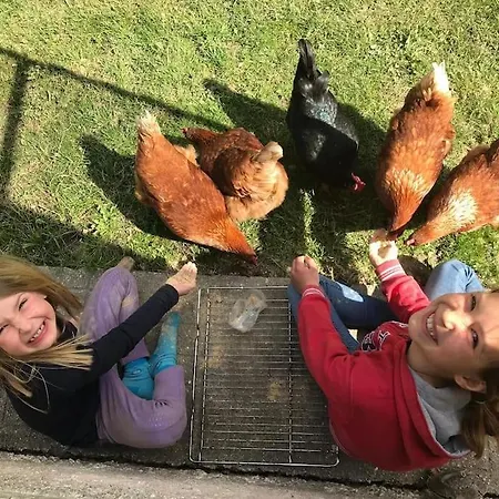 Cosy Family Apartament