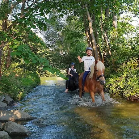 Cosy Family * Reichenau an der Rax
