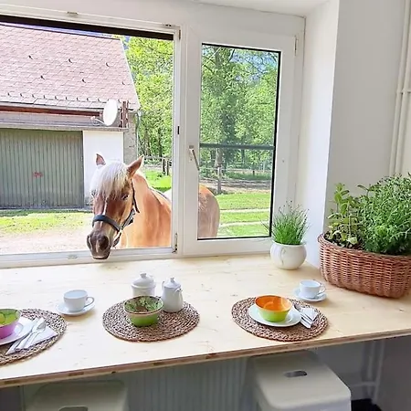 Cosy Family * Reichenau an der Rax