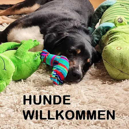 Cosy Family Apartament *