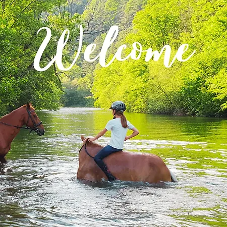 Apartamento Cosy Family Reichenau an der Rax