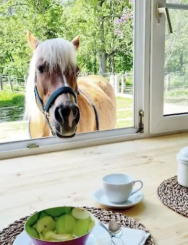 Cosy Family 赖歇瑙