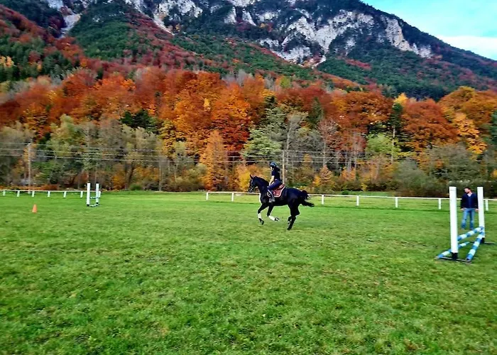 公寓 Cosy Family 赖歇瑙