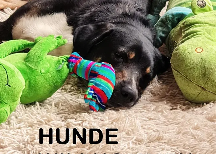 Cosy Family Apartamento *